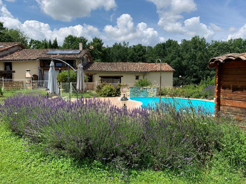 Gîte Bois et Senteurs photo 3