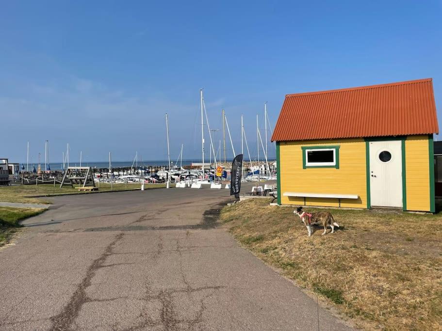 Liten stuga på stor tomt photo 3