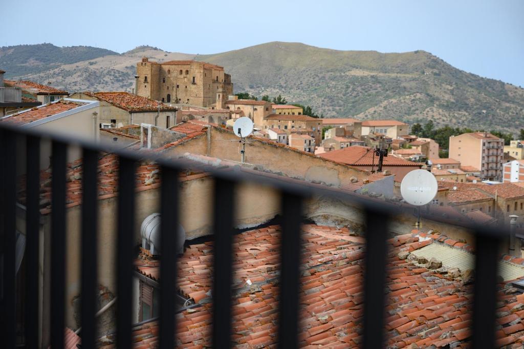 Vetriera41 photo 1