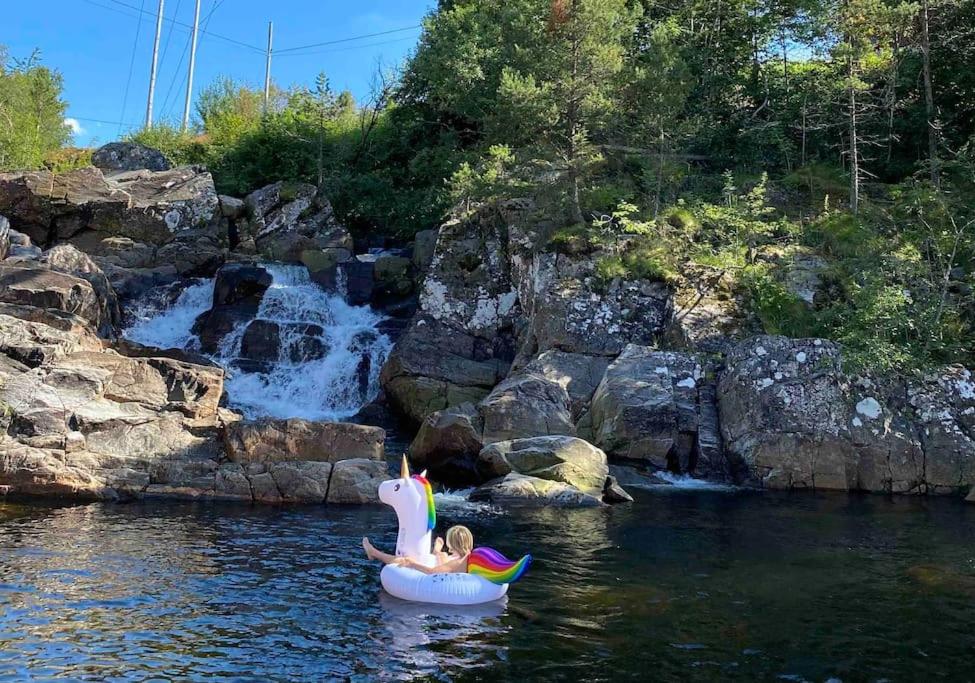 Nakkentunet - familievennlig hus på gårdstun. photo 3