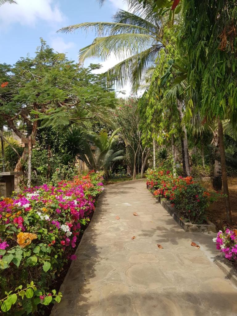 Tembo village Jacaranda road photo 2