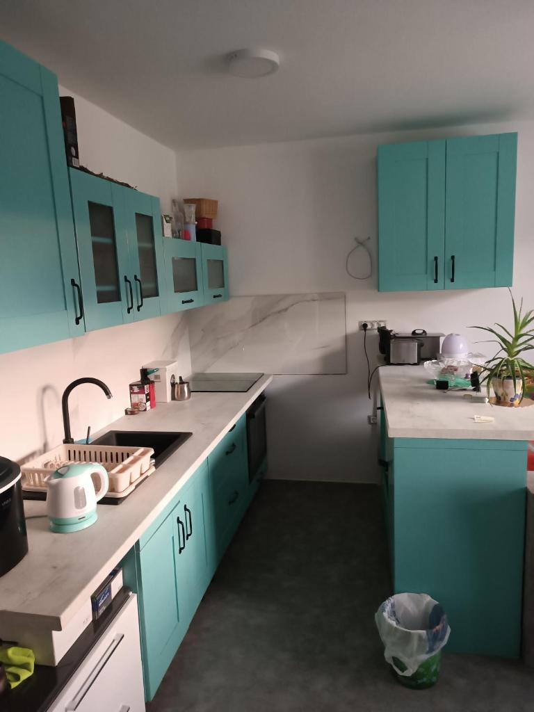 Apartma pri Renati photo 4