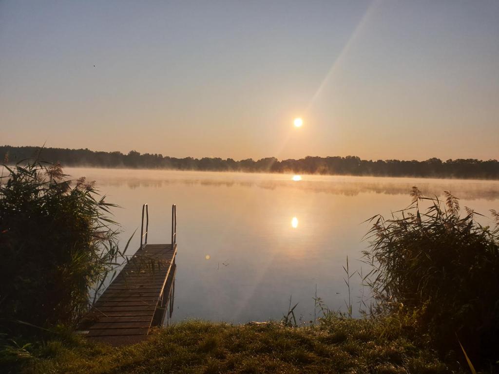 Haus am See und Berlinnah photo 4