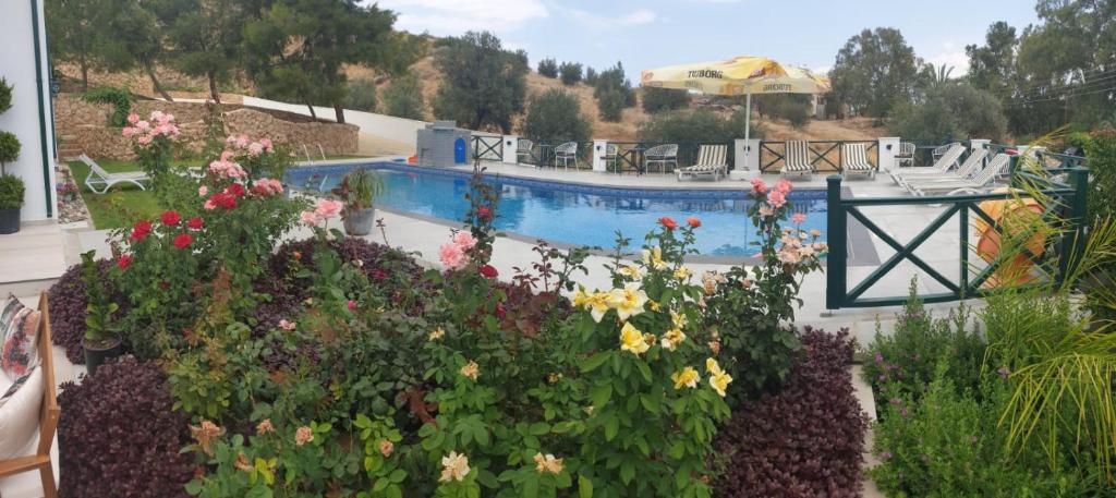 Dervise Mehmet Guest House photo 3