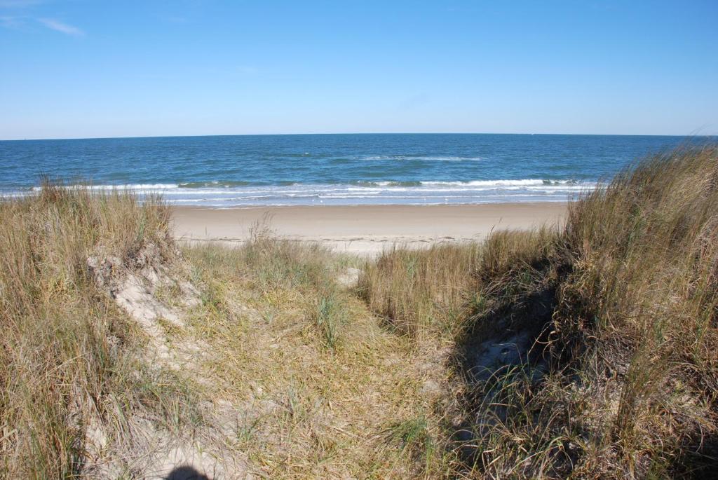 Beach Lovers Delight cottage photo 1