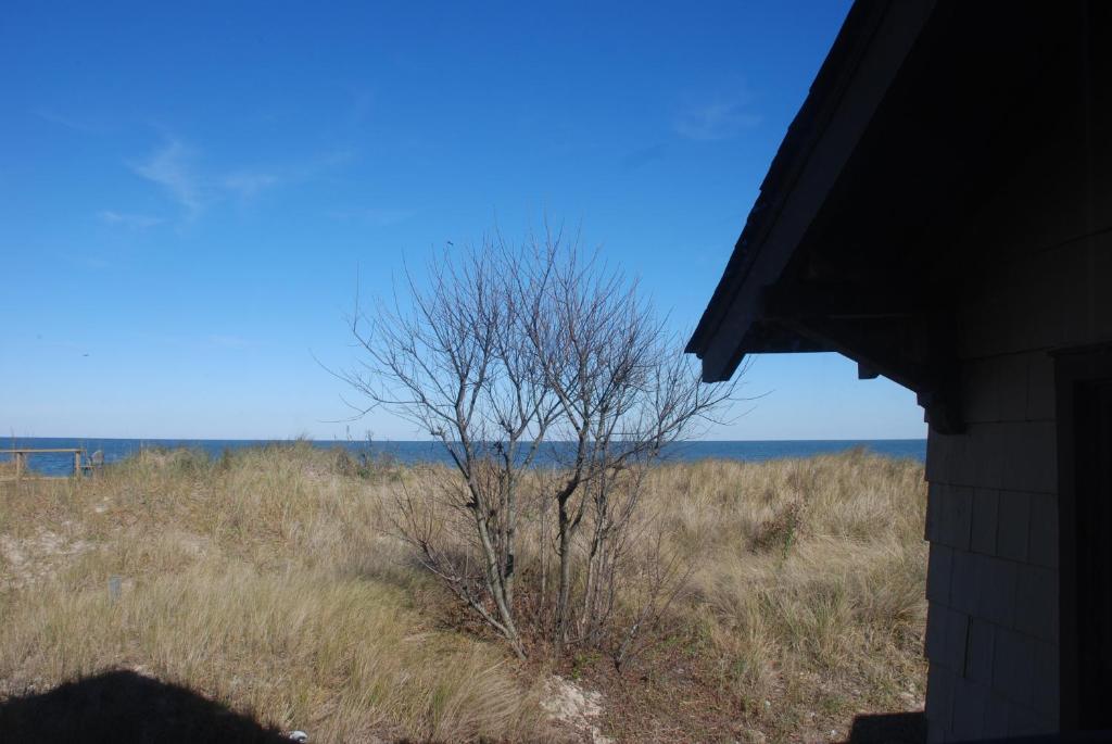 Beach Lovers Delight cottage photo 4