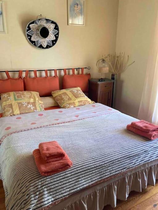 charment logement avec piscine et jardin photo 4