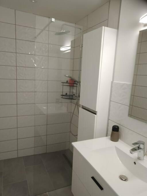 appartement 2 T2 neuf et élégant proche zénith photo 3