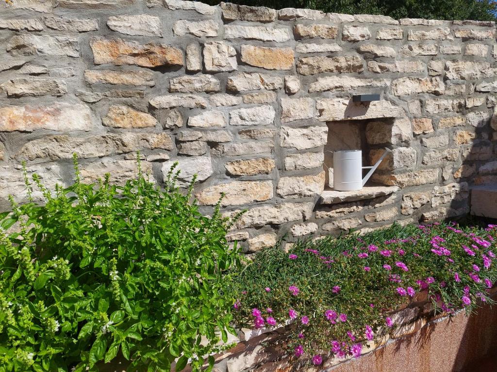 Holiday House Teza photo 4