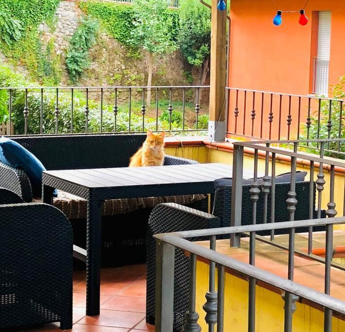Casa BelMoro con piscina photo 1