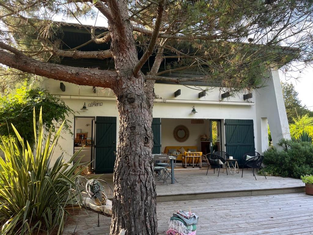 Villa Athena Cap-Ferret chez l habitant photo 1