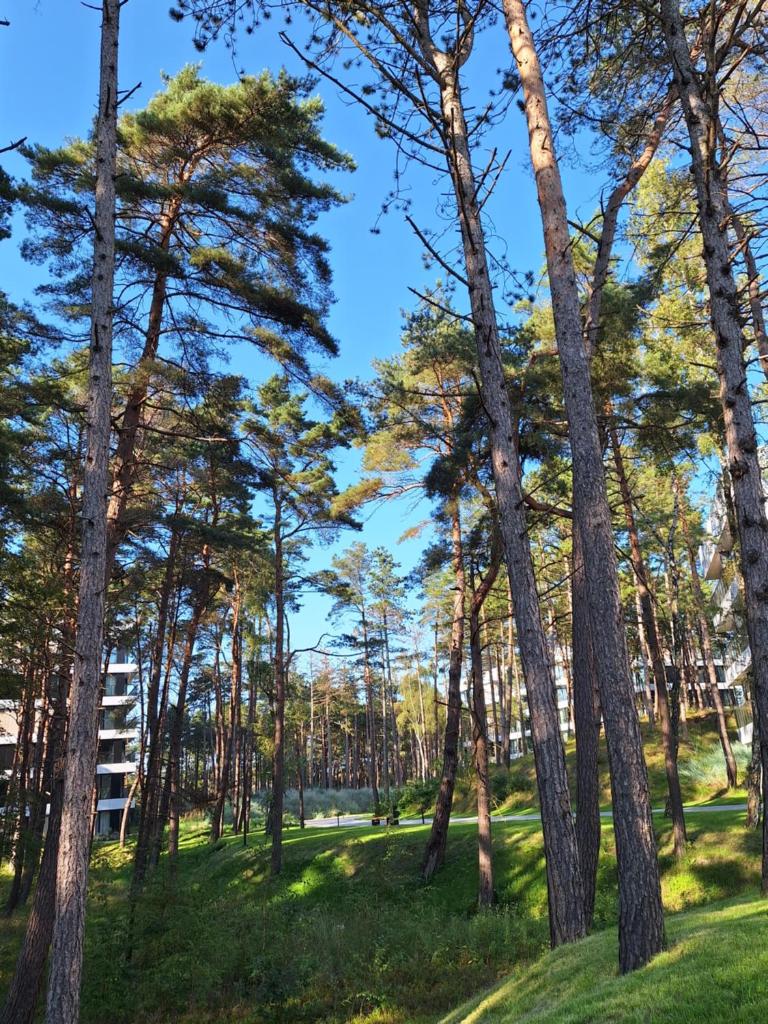 Apartament Shellter Sun&Sea Rogowo koło Kołobrzegu_Dźwirzyno_nocleg photo 3