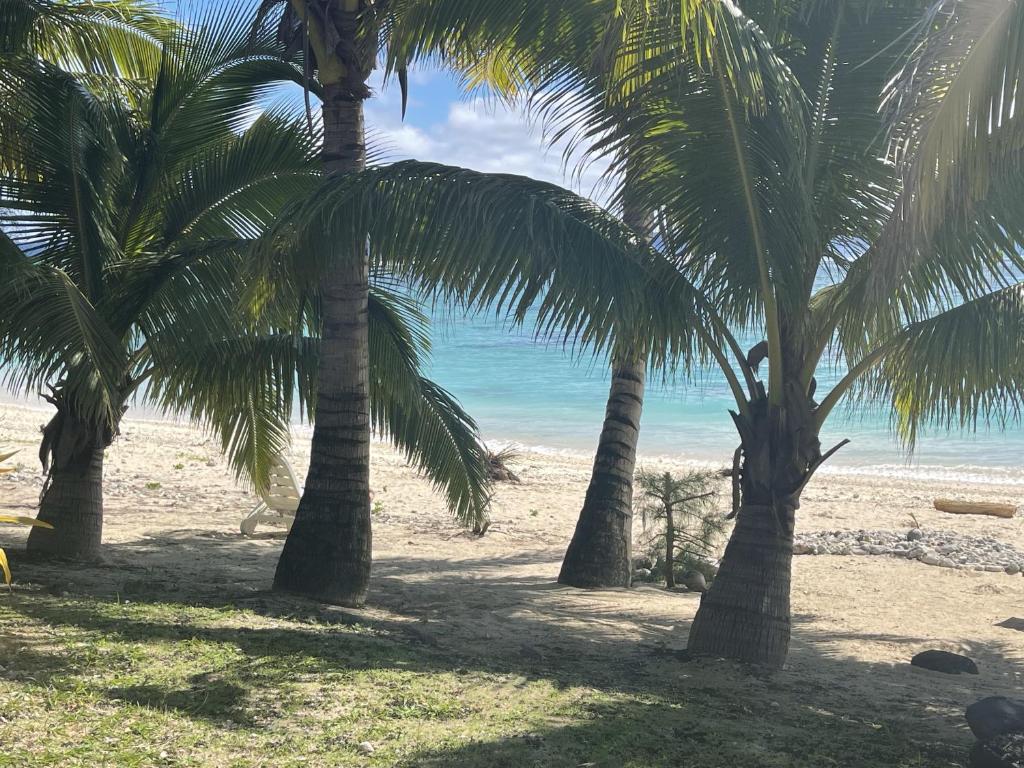 Rarotonga Villas Absolute Beachfront photo 3