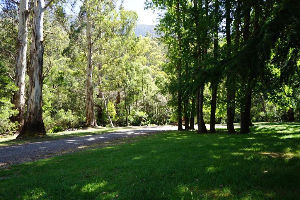 Merrimont Downs photo 3
