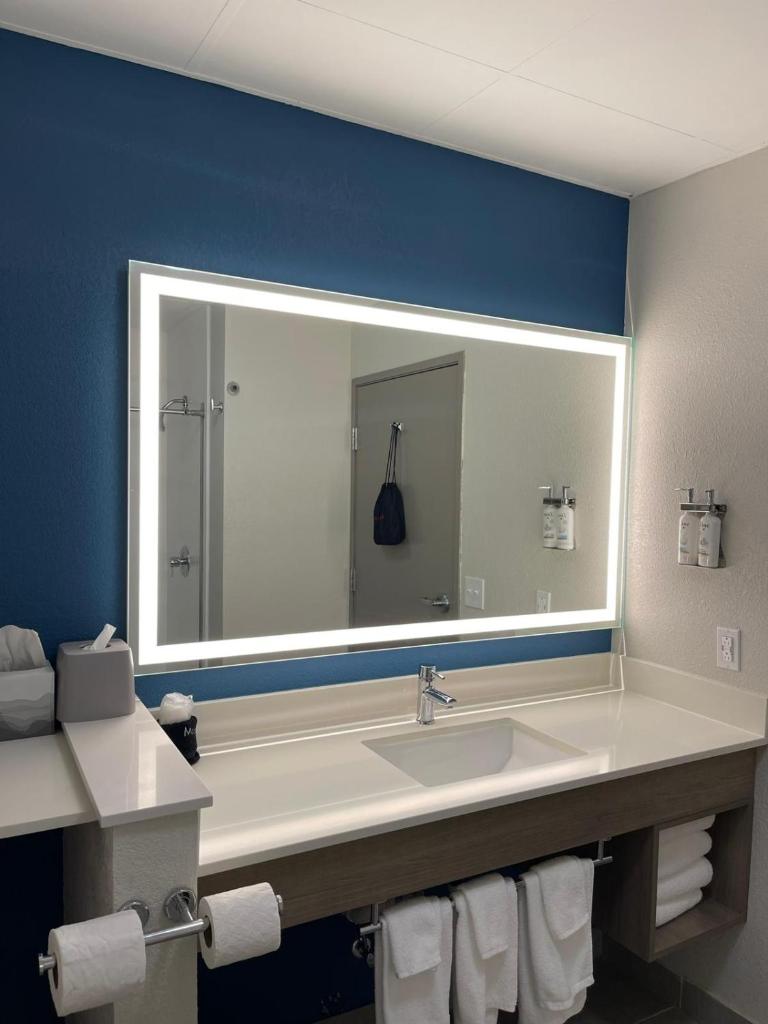 Holiday Inn Express Hotel & Suites Hiawassee, an IHG Hotel photo 2