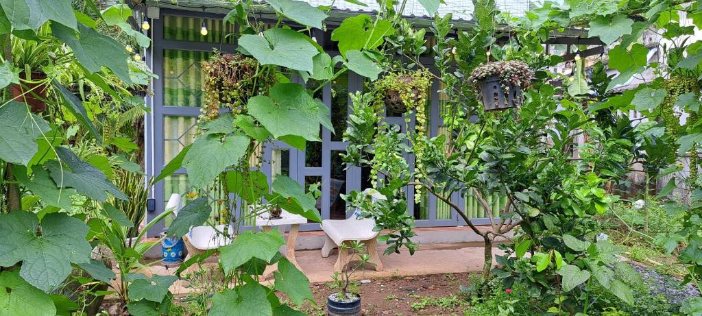 Coco Happy Farm photo 4