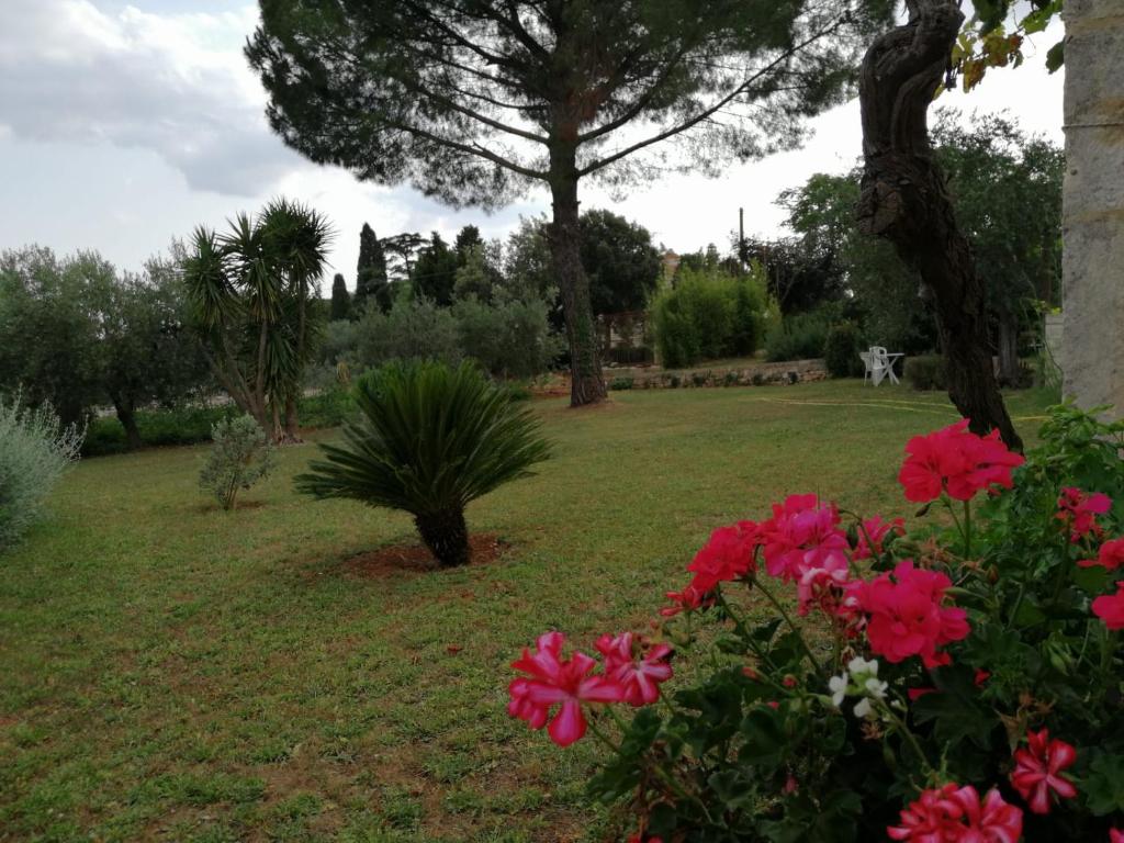 Autentica Masseria Pugliese photo 1