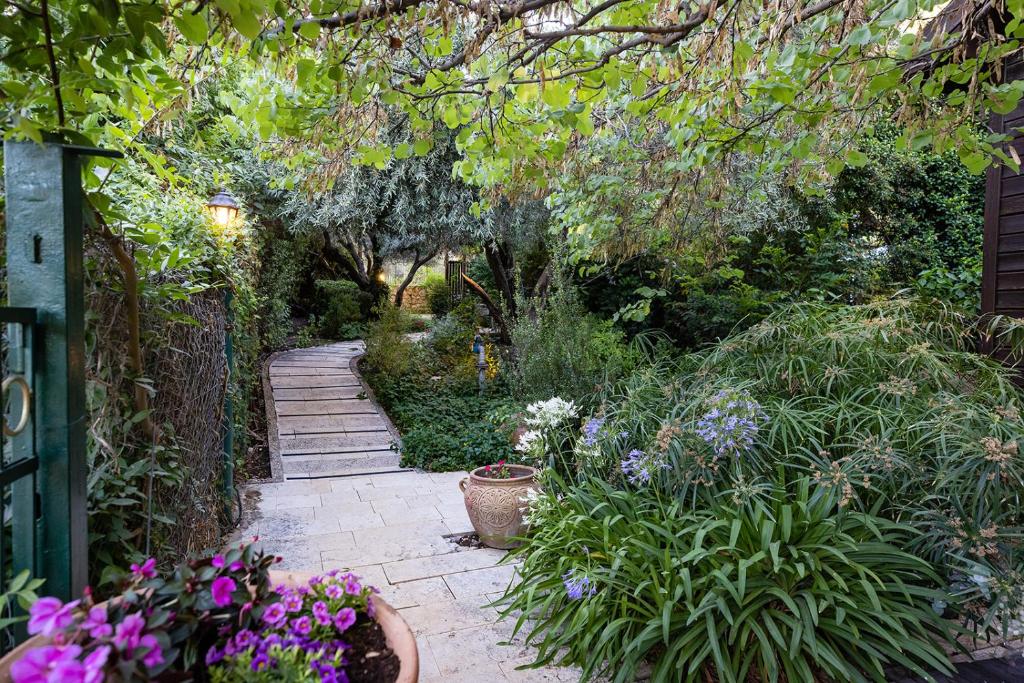 הבית בראש פינה - The House photo 2