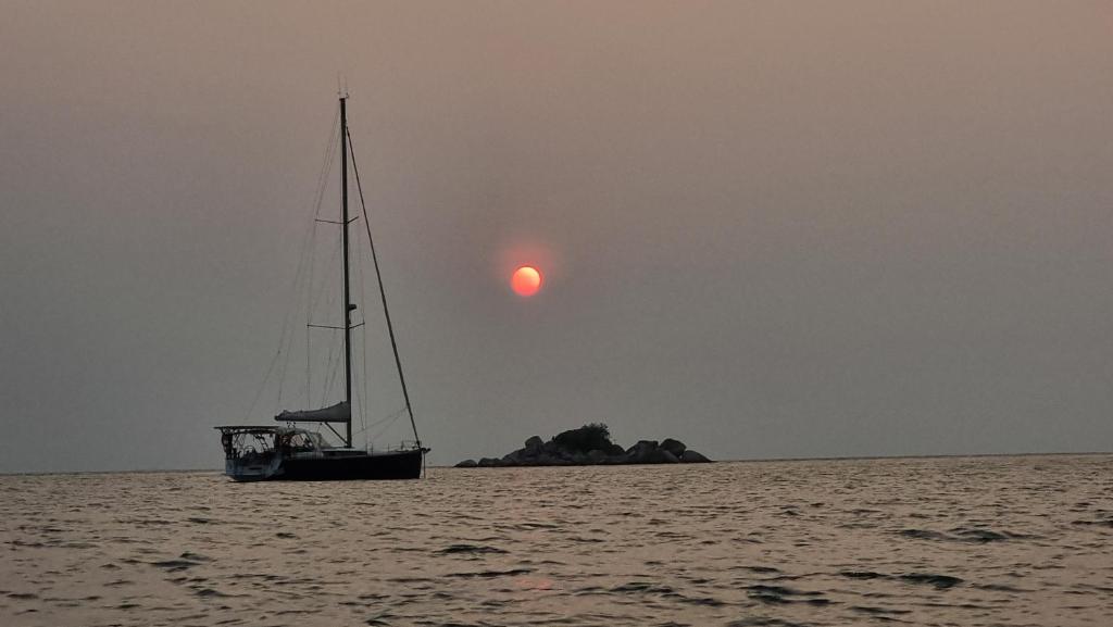 Pirate & Captain's Sailboat photo 3