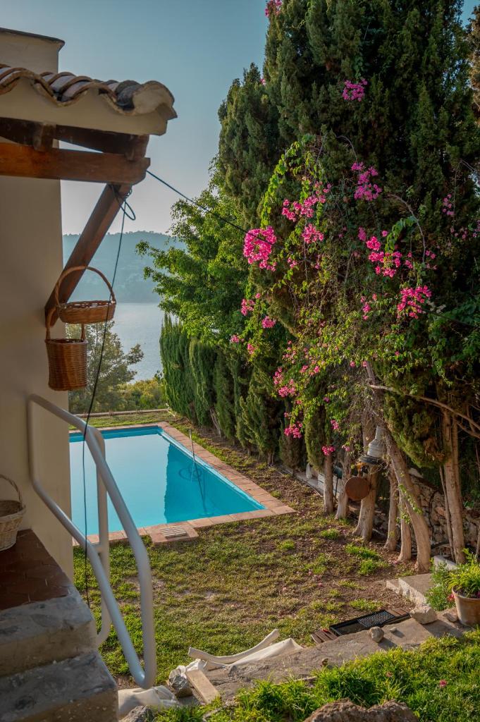 Casa Ahuamara photo 3