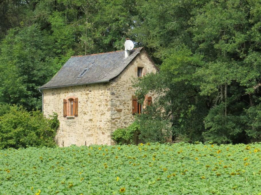 Les Rives de Saint-Blaise - Maison en pleine nature à Najac photo 1