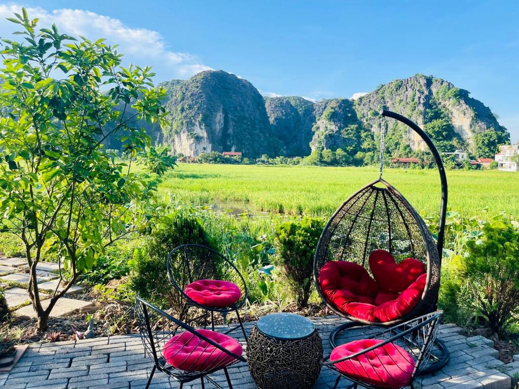 Tam Coc Mountain View Homestay