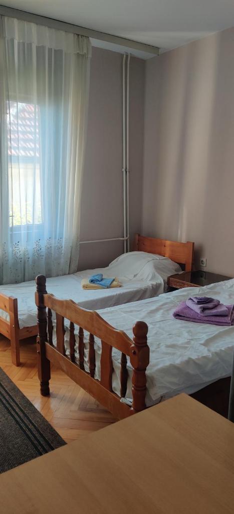 Hostel Golub photo 4