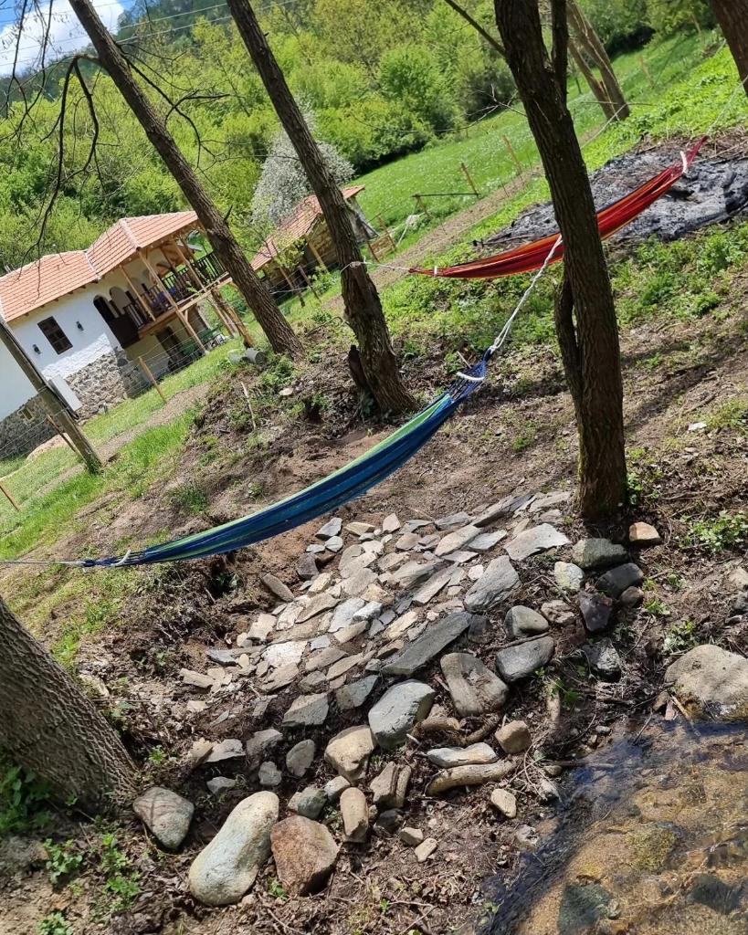Apartmani kod Kmeta photo 4