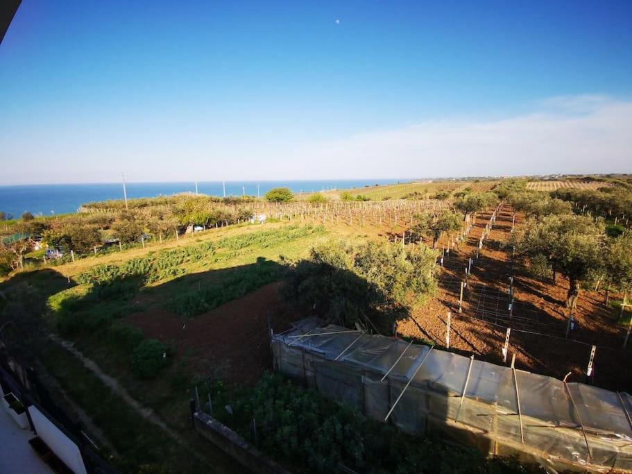BriCla - un passo dalla Costa dei Trabocchi photo 1