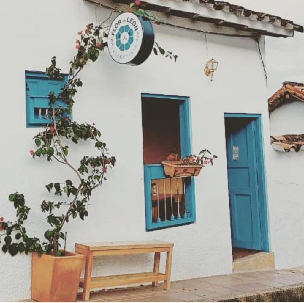 Flor de León Café - Hostal photo 2