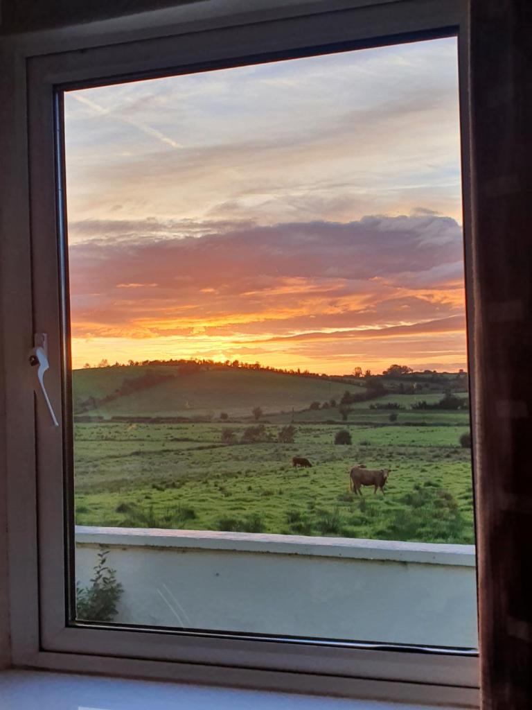 Patricia’s Country Cottage photo 3