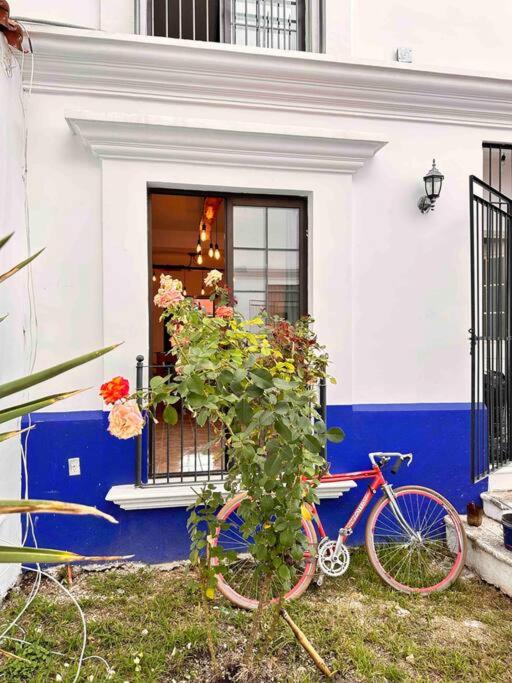 Súper Departamento en centro histórico photo 1