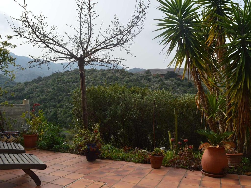 Maison Banyuls-sur-Mer, 3 pièces, 5 personnes - FR-1-225C-74 photo 3