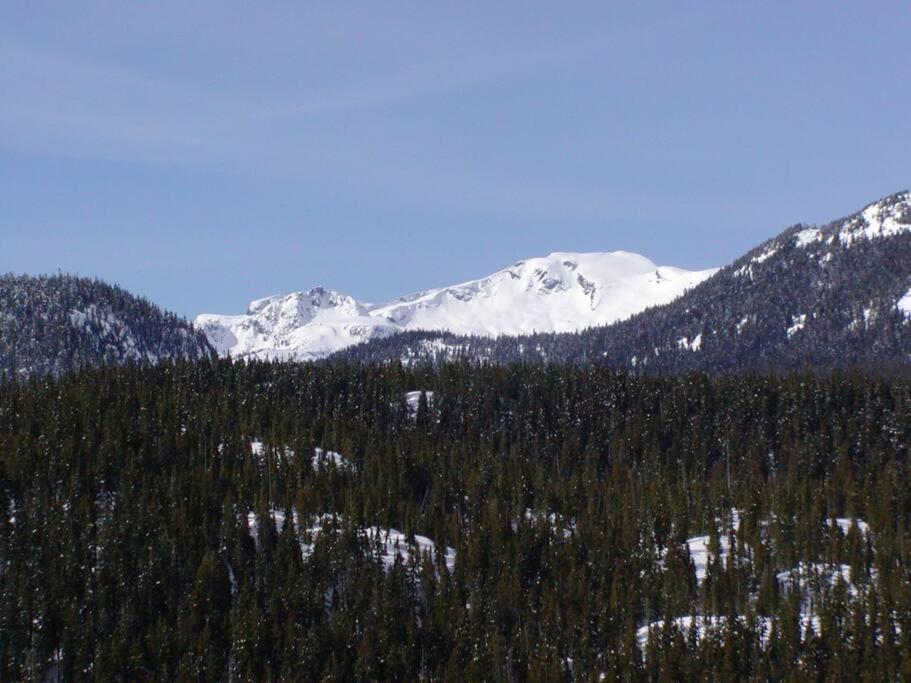 Basecamp Strathcona Park View Chalet photo 2