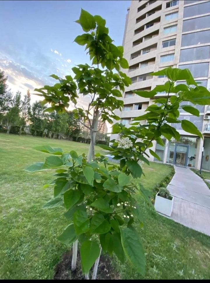 Departamento a estrenar en complejo privado