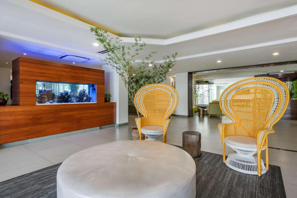 Condado Palm Inn San Juan, Tapestry Collection by Hilton photo 4