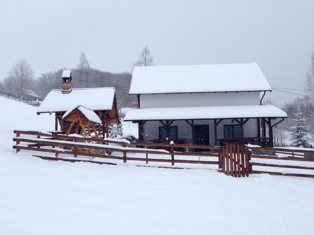 Вилла (Вилла с 5 спальнями), Cabana Valea Floreiului