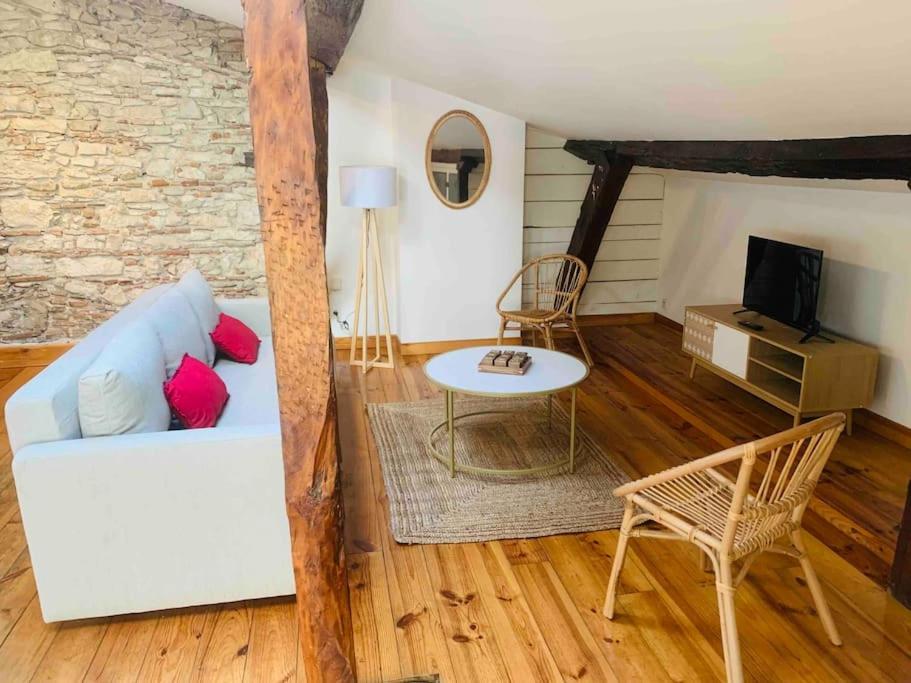 Spacieux appartement en plein coeur de Castres