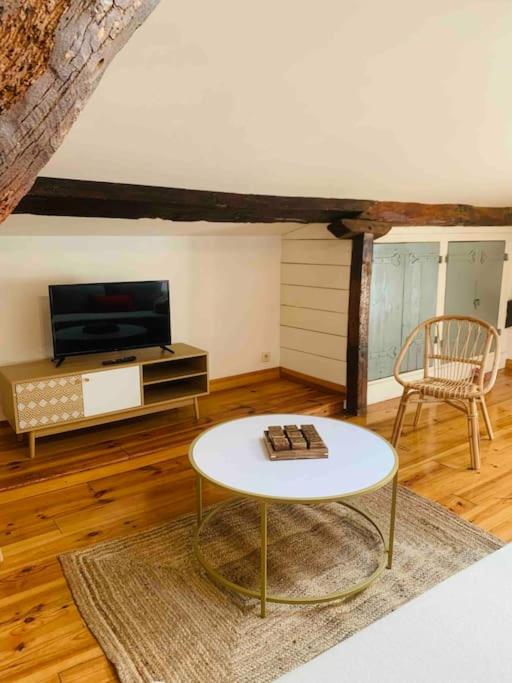 Spacieux appartement en plein coeur de Castres photo 3