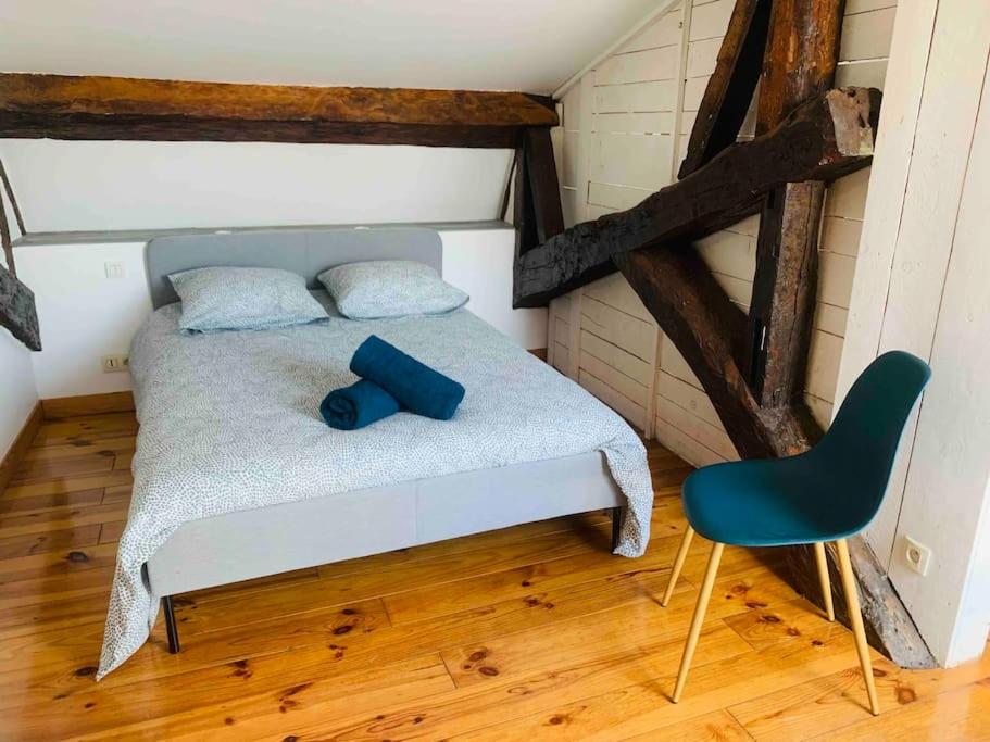 Spacieux appartement en plein coeur de Castres photo 4