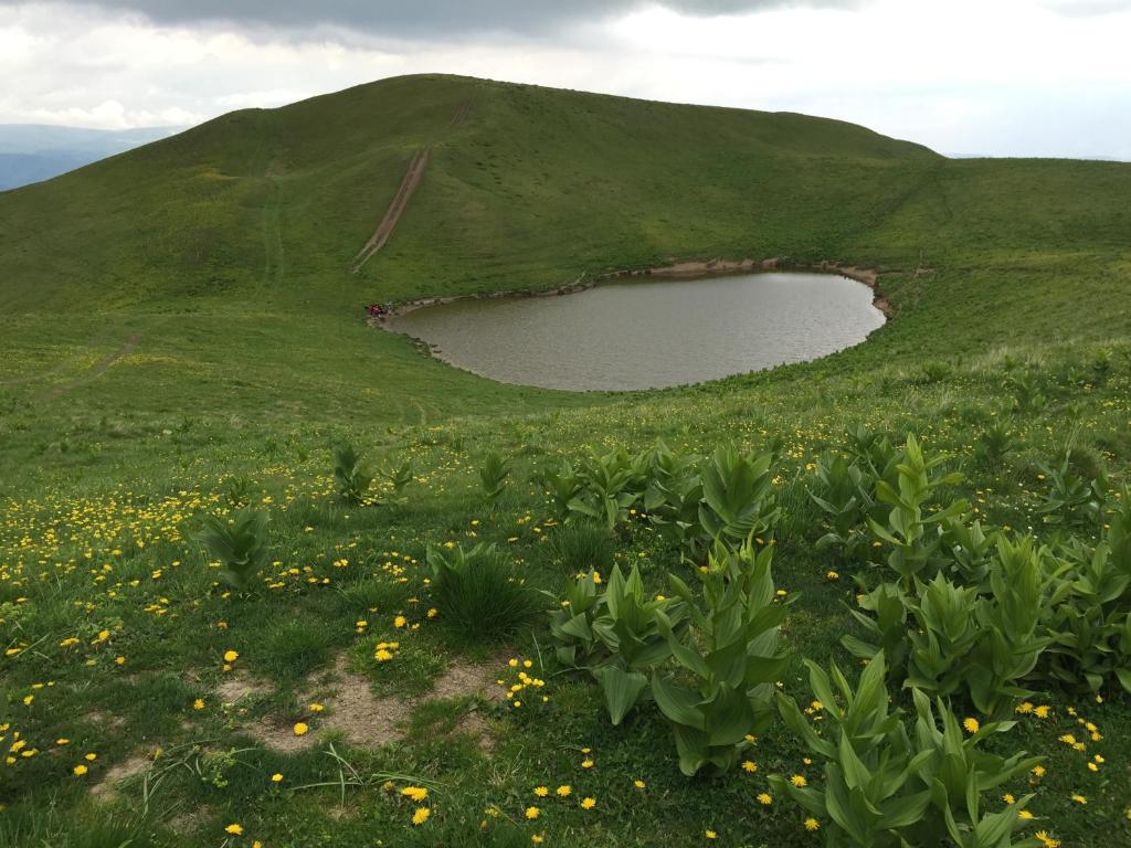 Вилла (Вилла с 5 спальнями), Cabana Valea Floreiului