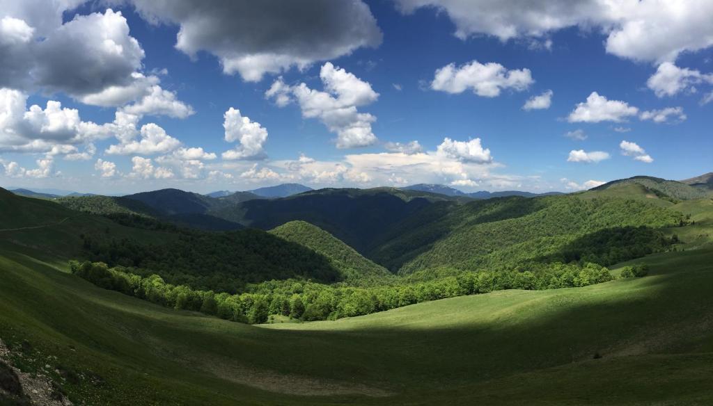Вилла (Вилла с 5 спальнями), Cabana Valea Floreiului