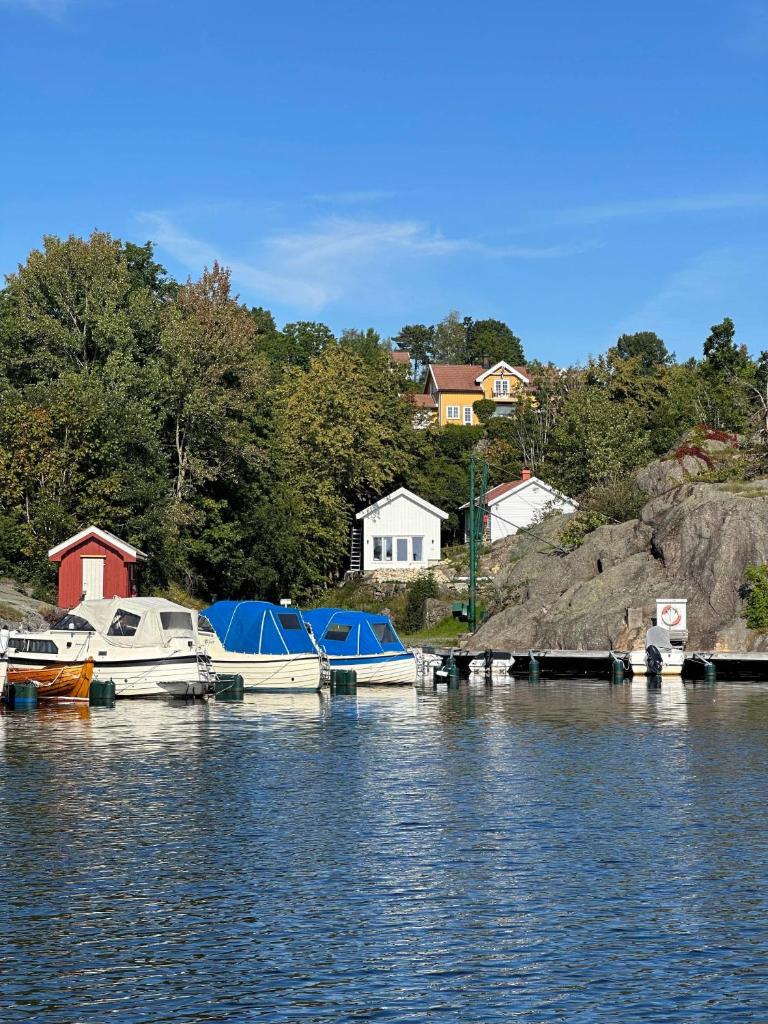 Cozy cottage close to idyllic archipelago with additional building if booked for more than 2 people photo 3
