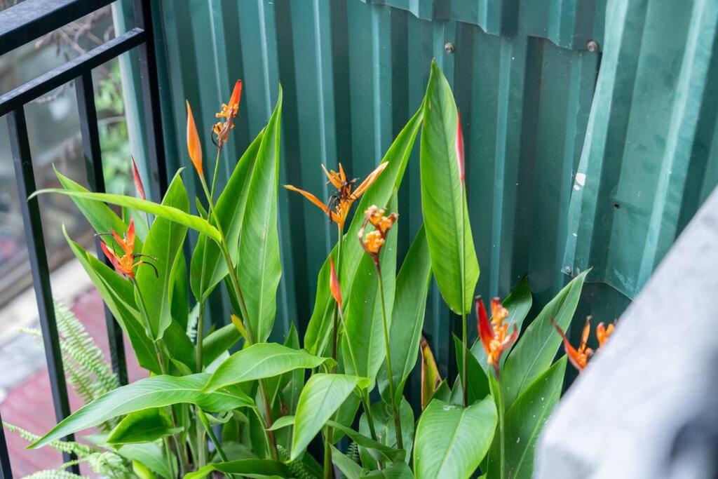 Entireplace*2Br/Bathtub/SuperCenter*New*