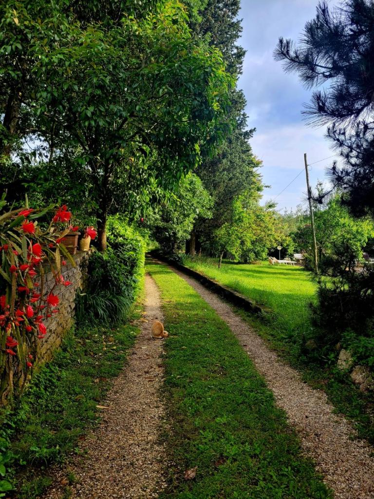 La Tenuta Del Conte photo 1
