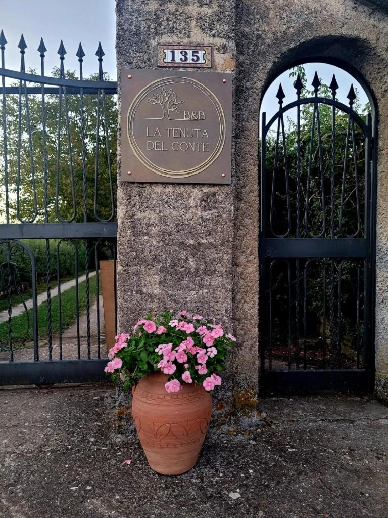 La Tenuta Del Conte photo 3