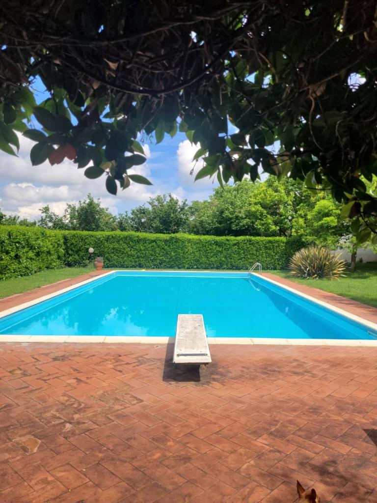 La Tenuta Del Conte photo 4