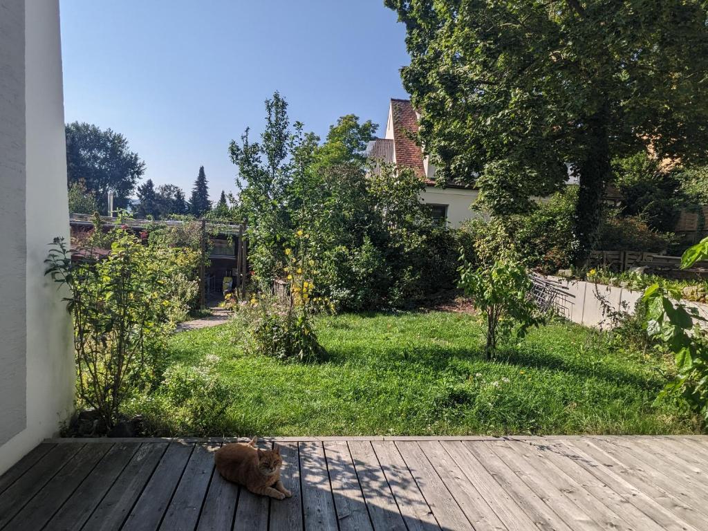 Wohnung mit Terrasse und eigenem Parkplatz photo 4