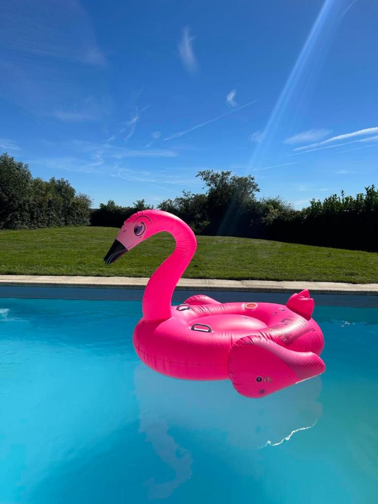 Le Bain des Hirondelles photo 1
