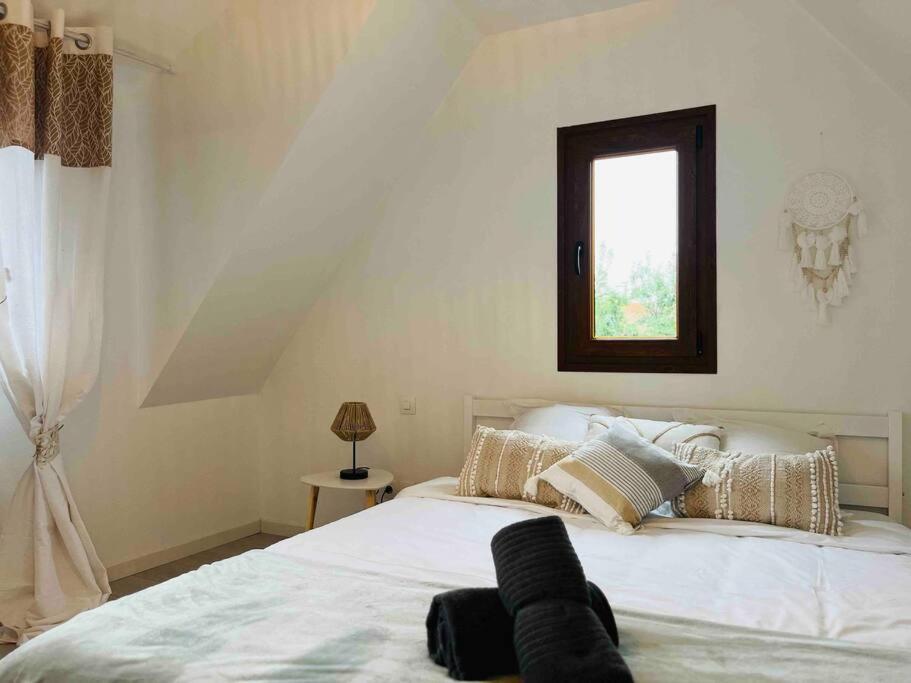 S'Hiesele petite maison alsacienne typique photo 2